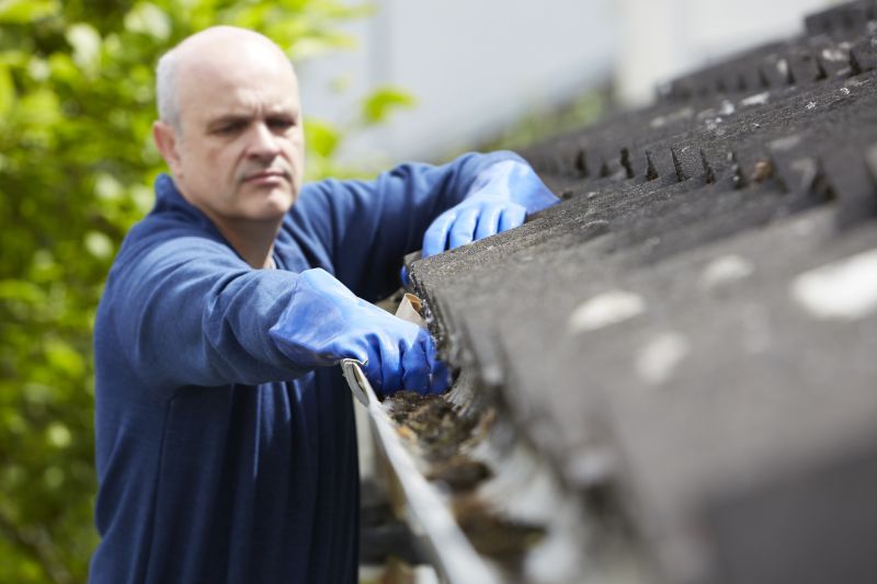 Gutter Cleaning Professionals